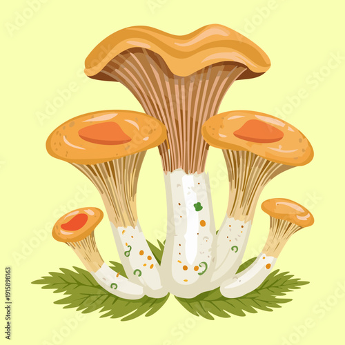 Lustrous golden mushroom bunch with slender stalks for premium culinary ingredients and artisanal food marketing - Vector Illustration