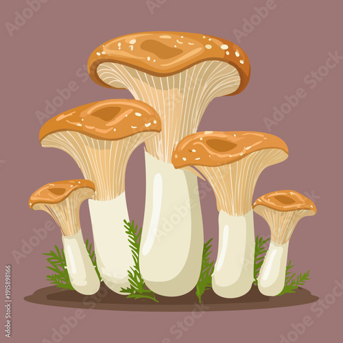 Array of tall sunlit fungi featuring detailed lamellae for botanical illustration books and vegan cooking guides - Vector Illustration