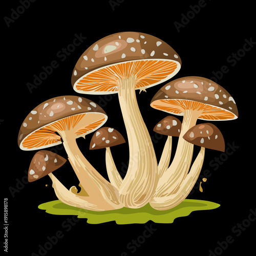 Elongated tan mushrooms standing on verdant grass for spring season nature walks and ecological infographics - Vector Illustration