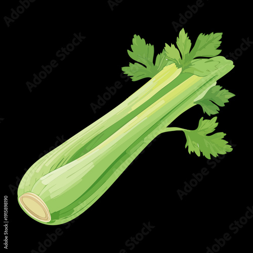 Fresh Celery Stalk For Healthy Juicing And Natural Culinary Ingredient Showcase Marketing Assets - Vector Illustration