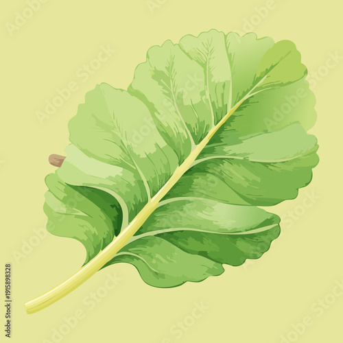 Single Kale Leaf For Healthy Superfood Diet Awareness And Organic Green Vegetable Branding - Vector Illustration
