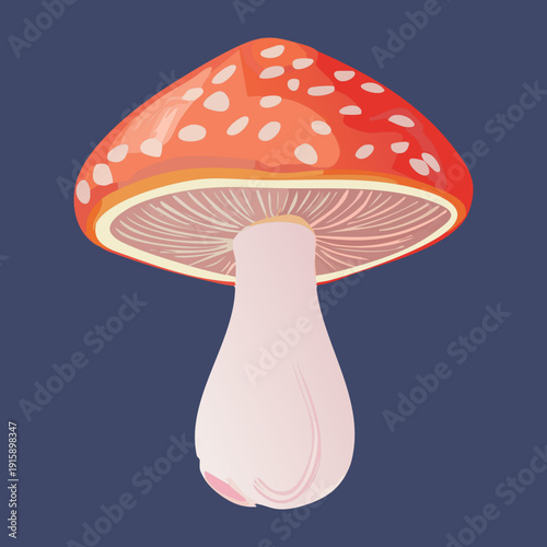 Classic storybook red toadstool with white speckles for enchanted forest and magical kingdom graphic themes - Vector Illustration