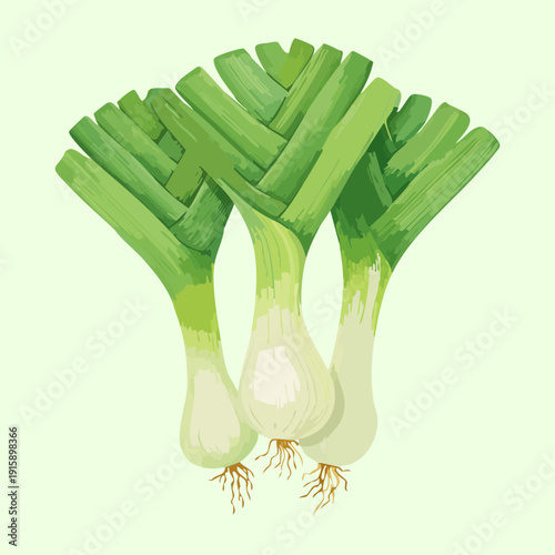 Multiple Leeks For Healthy Commercial Cooking And Organic Agriculture Produce Industry Graphics - Vector Illustration