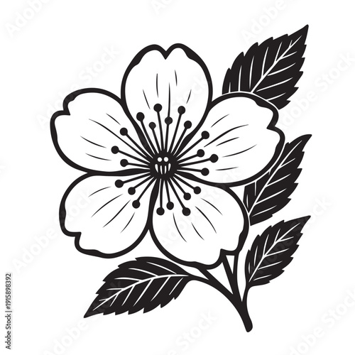 A vector illustration of a single flower showing pistil, petals, leaves, and stem, designed in clean botanical style for natural decorative floral art.