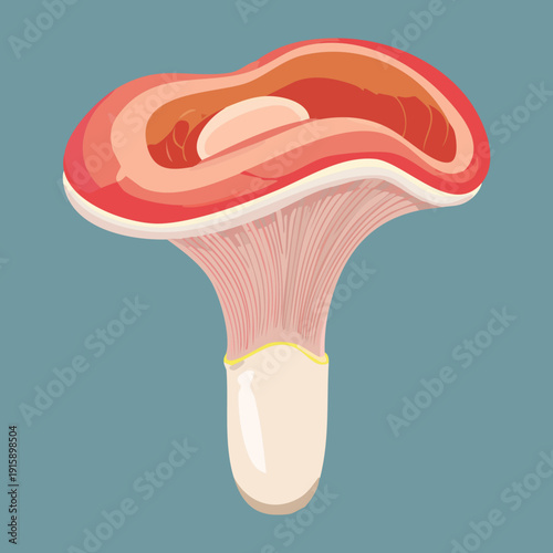 Pastel pink fungi with thick stalk for nursery room wall art and gentle nature themes - Vector Illustration