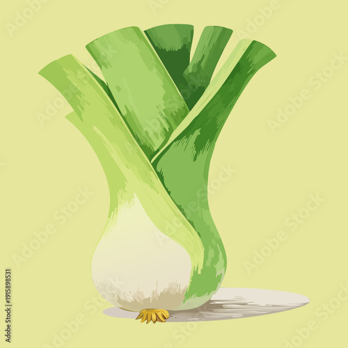 Leek Bulb For Healthy Ingredient Showcase And Organic Green Grocer Product Branding Assets - Vector Illustration