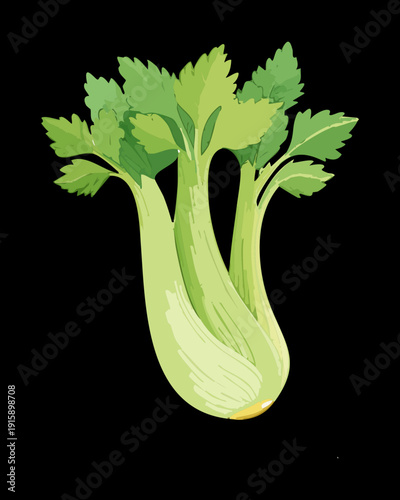 Celery Bunch For Healthy Green Grocer Promotion And Organic Farm Fresh Produce Marketing - Vector Illustration