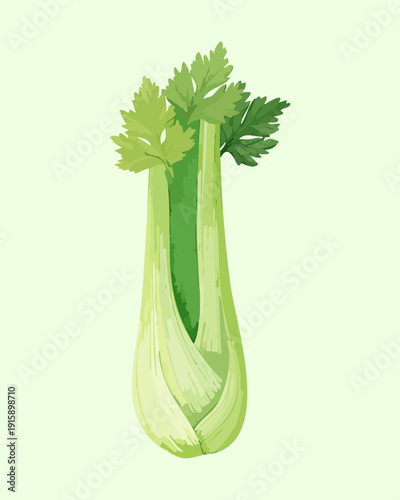 Crunchy Celery Stalk For Healthy Nutrition Awareness And Organic Vegetable Market Product Catalog - Vector Illustration