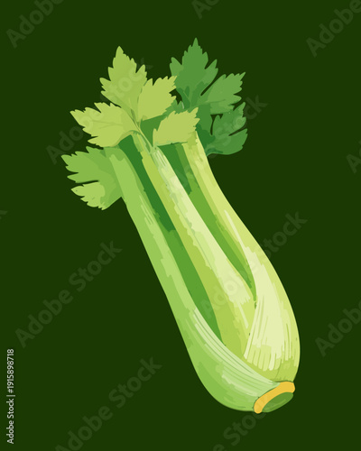 Fresh Celery Vegetable For Healthy Living Concept And Organic Food Industry Branding Assets - Vector Illustration