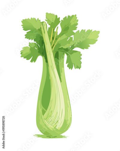 Leafy Celery Bunch For Healthy Recipe Inspiration And Organic Green Grocer Visual Resources - Vector Illustration