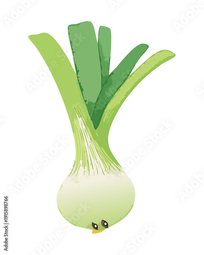 Fresh Onion Plant For Botanical Illustration And Healthy Organic Produce Market Advertising Assets - Vector Illustration