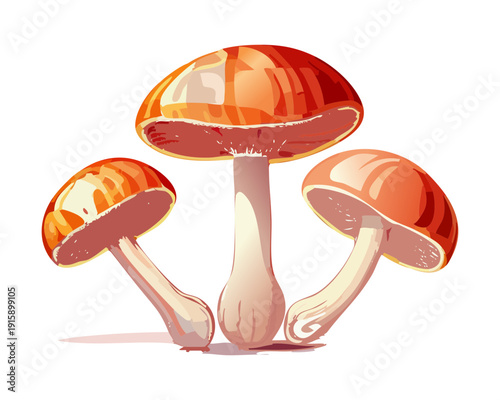 Three garnet toadstools for woodland discovery guides and park nature identification signs - Vector Illustration