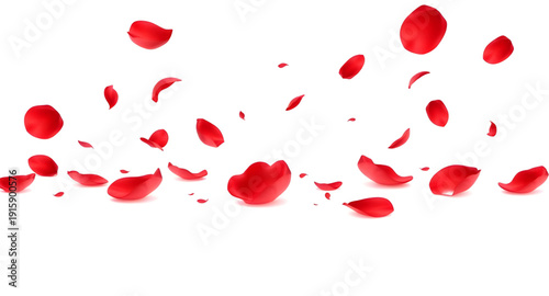 rose, petals, red, background, floral, flower, romantic, romance, love, passion, valentine, wedding, anniversary, beauty, elegant, luxury, soft, delicate, texture, pattern, nature, fresh, bloom, bloss