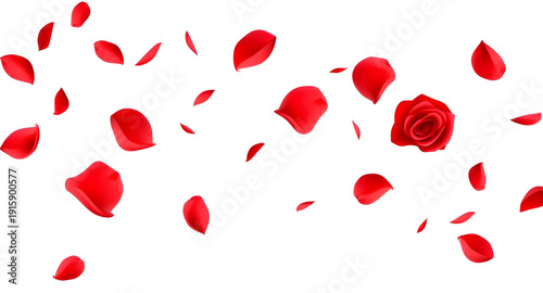 rose, petals, red, background, floral, flower, romantic, romance, love, passion, valentine, wedding, anniversary, beauty, elegant, luxury, soft, delicate, texture, pattern, nature, fresh, bloom, bloss