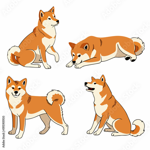 Set of cute Shiba Inu dog in different poses, detailed flat vector illustration isolated on white background