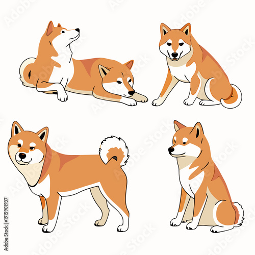 Set of cute Shiba Inu dog in different poses, detailed flat vector illustration isolated on white background