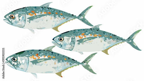 Illustration of three blue jack fish swimming in a formation