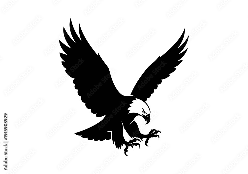 Obraz premium eagle on white background