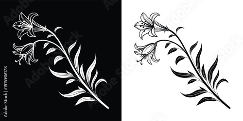 Elegant black and white vector illustration of a decorative lily flower branch perfect for elegant design accents