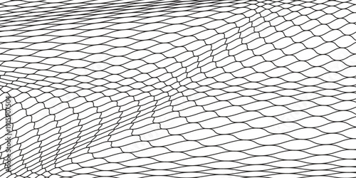 Black snake skin pattern isolated on white background eps 10