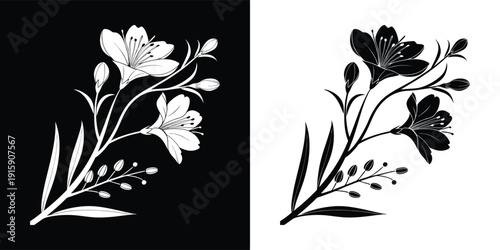 Thirty unique doodle style car front icons, perfect for illustrating various automotive themes, transport designs, or vehicle-related digital and print media projects.