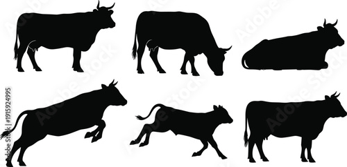 Cow silhouettes set with standing grazing running and lying cattle farm animal vector illustration collection