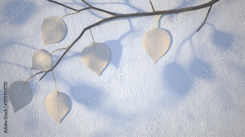 A delicate branch with translucent, skeletonized leaves casting soft shadows on a textured white wall, creating an elegant and minimalist natural composition.