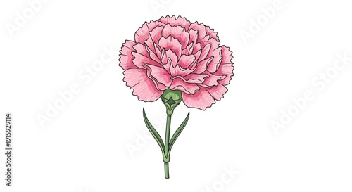 A single stem forget me not flower with blue petals.