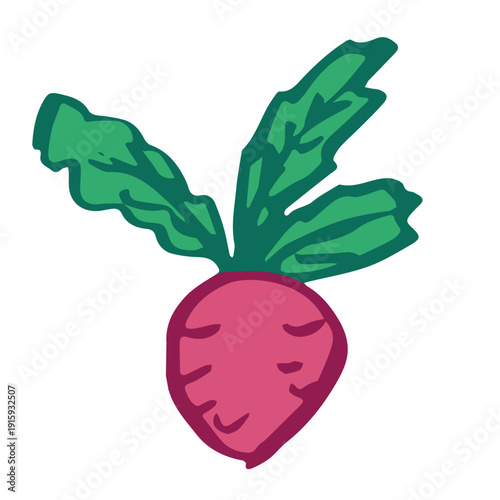 Hand drawn farm radish beet beetroot plant with green leaves Fresh vegetable doodle Healthy eco food Organic garden vegetarian food For design, print, packaging, decor, kids books