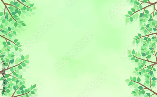 新緑の葉の背景5_横