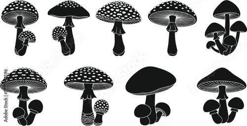 Mushroom Silhouette Collection Featuring Various Toadstool Shapes, Wild Fungi, and Botanical Nature Elements in Black Vector Style