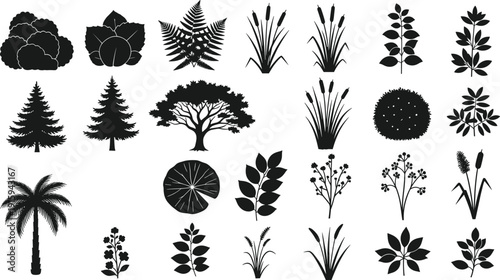 Tree and Plant Silhouette Collection with Bushes Leaves Flowers and Reeds Isolated on White Background Vector Set