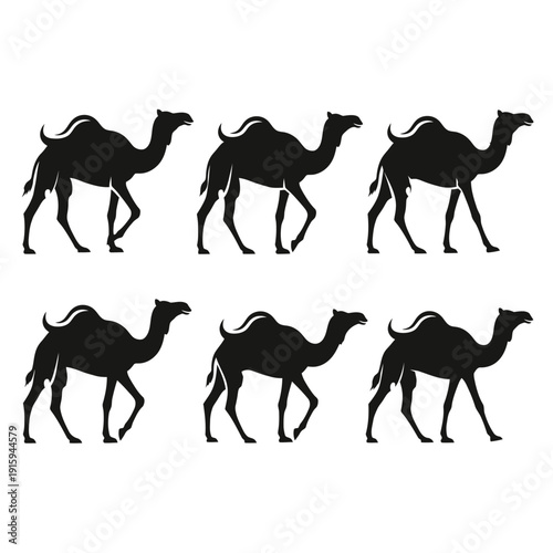 Six Silhouette Camels Walking in Desert Caravan Formation