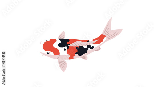 Vibrant Koi Fish Swimming Gracefully in Clear Water - Japanese Carp Illustration
