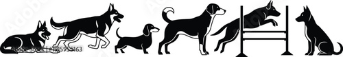 Large collection of black dog silhouettes featuring various breeds like german shepherd dachshund and beagle in training poses jumping agility hurdles and sitting vector.