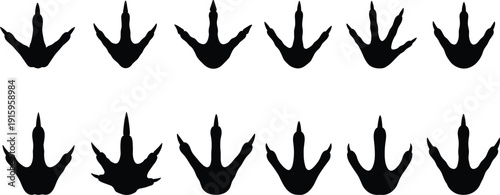 Black bird footprint silhouettes in two rows, varied shapes with elongated toes, minimalist wildlife track vector illustration design collection