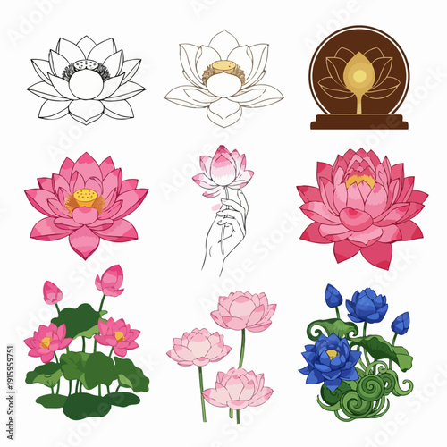 Collection of beautiful lotus flower illustrations in various styles.
