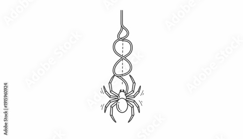 Spider on a web, intricate spiral design, detailed illustration, natural science concept