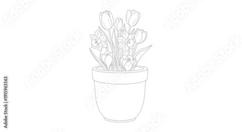 Outline Drawing of Tulips and Daffodils in a Pot, Spring Flowers, Vector Art