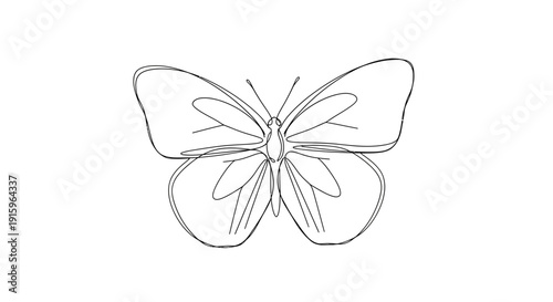Minimalist Butterfly Line Art Drawing, Simple Insect Sketch, Elegant Winged Creature