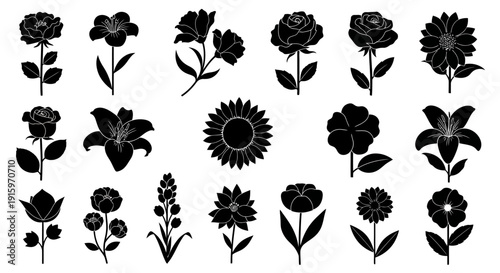 Black Silhouette Flower Collection: Roses, Lilies, Sunflowers, and More Isolated on White