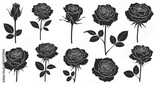 Set of Black Rose Silhouettes, Elegant Floral Vector Graphics