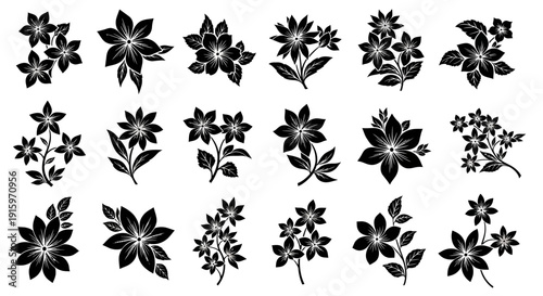 Black and White Floral Illustrations: Vintage Botanical Flower Designs