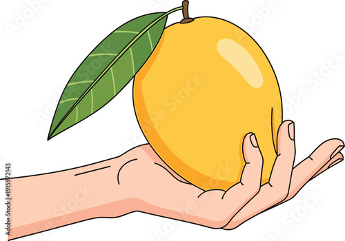 Simple flat illustration of a human hand holding a large ripe yellow mango with a green leaf isolated on white background for food.