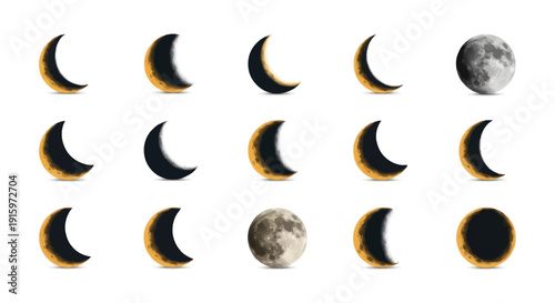 Vector illustration of moon phases including new moon, crescent, and full moon on white background, ideal for astronomy or education design