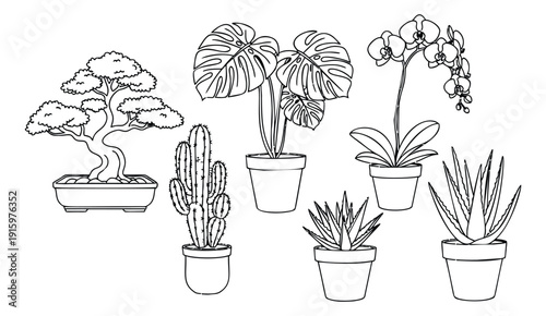 Hand drawn line art potted plants set featuring a bonsai, monstera, orchid, cactus, and succulents for home decor