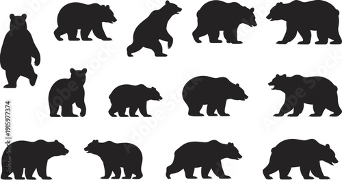 Black bear silhouette collection, grizzly and polar bear vector set, walking and standing poses, cad drawing flat vector illustration, nature wildlife, animal,