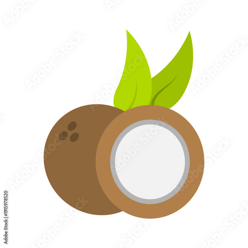 Brown Coconut with Fresh Water and White Meat Vector