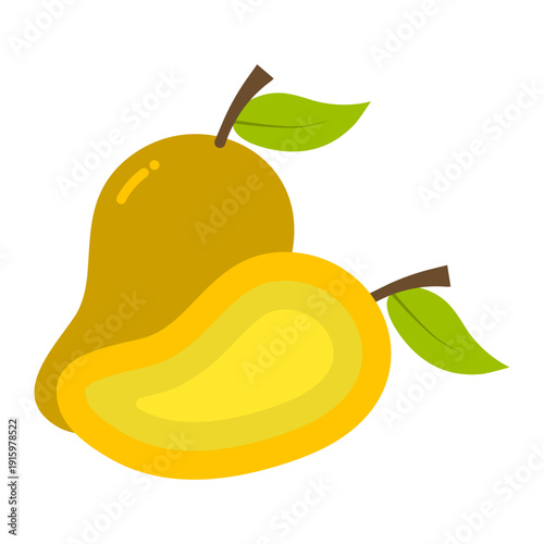 Ripe Mango Fruit for Tropical Summer Design Illustration