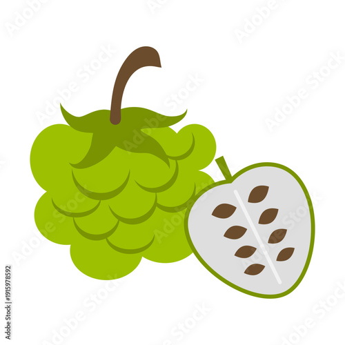 Fresh Soursop Fruit with Slice and Seeds Vector Illustration
